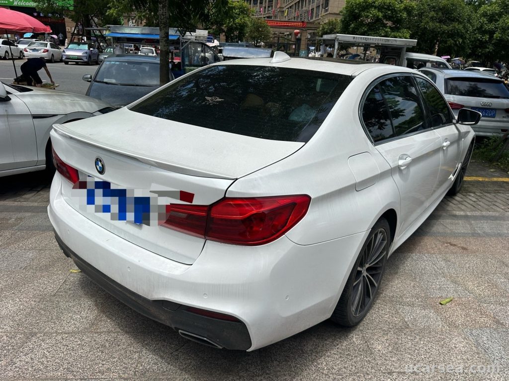 BMW 5 Series 2020 530Li M photo 2