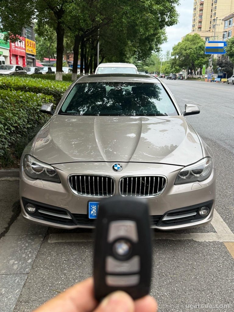 BMW 5 2017 520Li photo 1