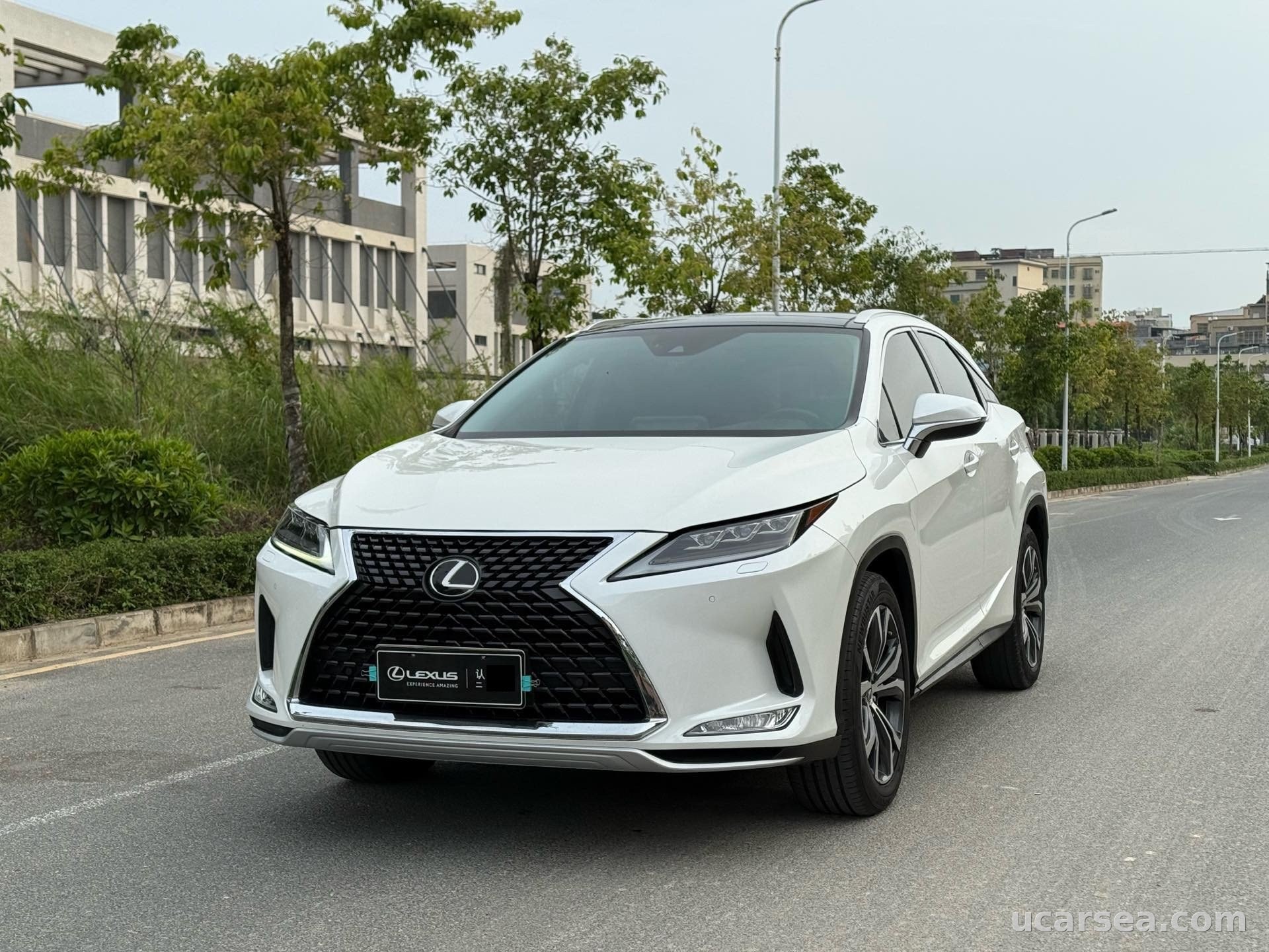 2020 Lexus RX 2020 RX300