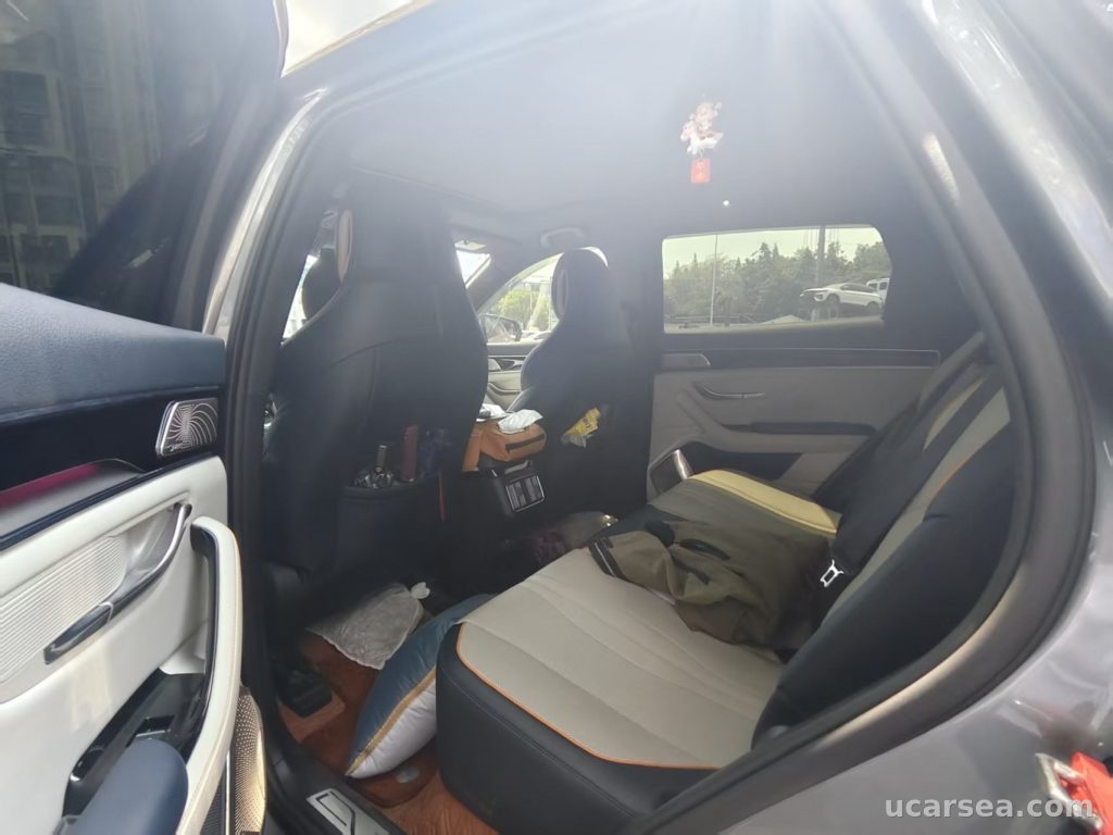 BYD Song Plus 2021 DM-i 1.5 110KM PLUS photo 2