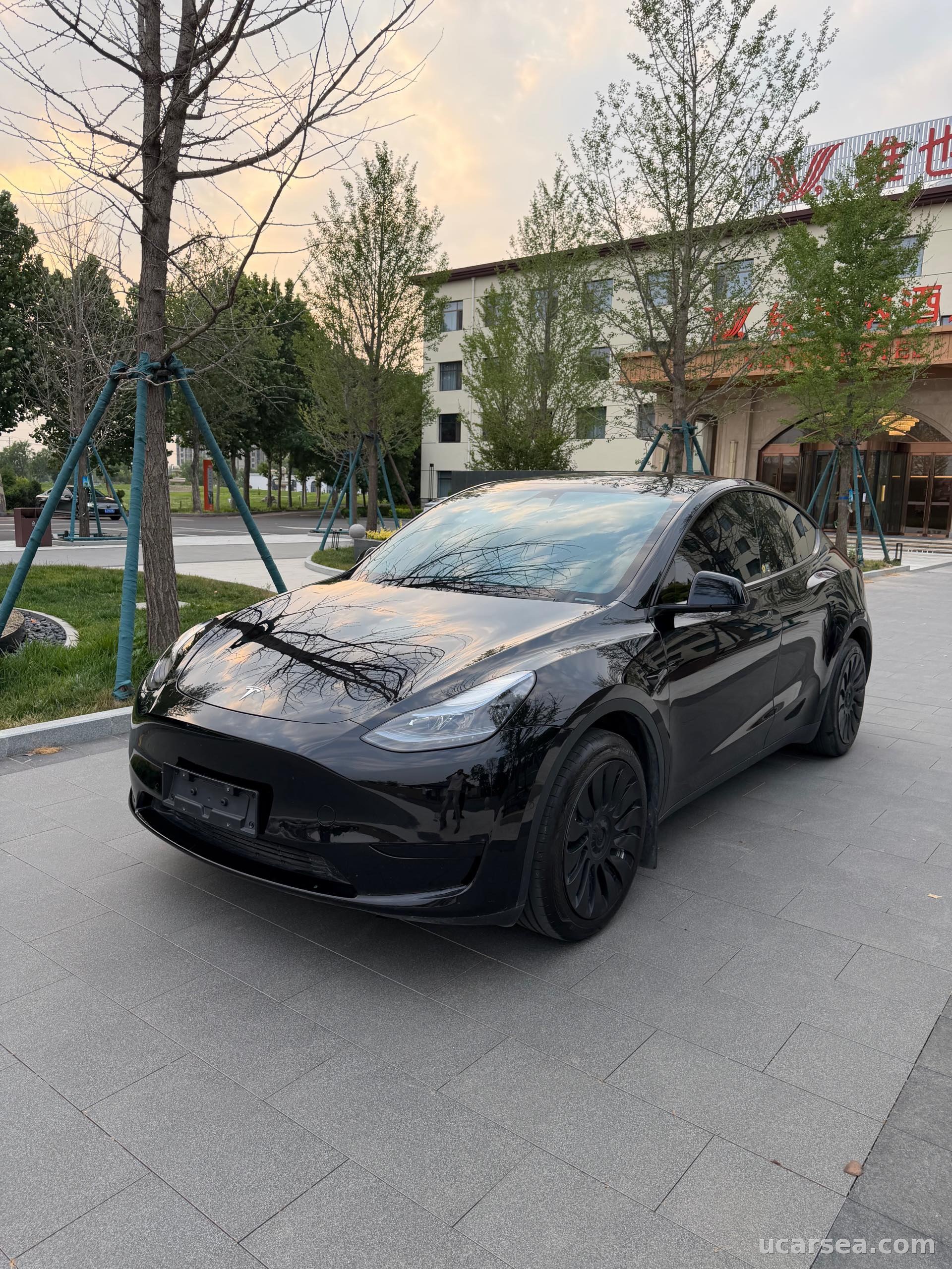 2022 Tesla Model Y 2022