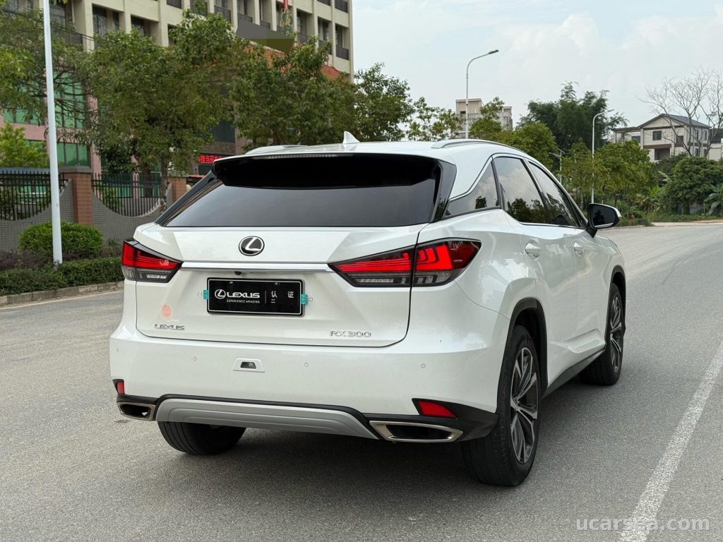 Lexus RX 2020 RX300 photo 7