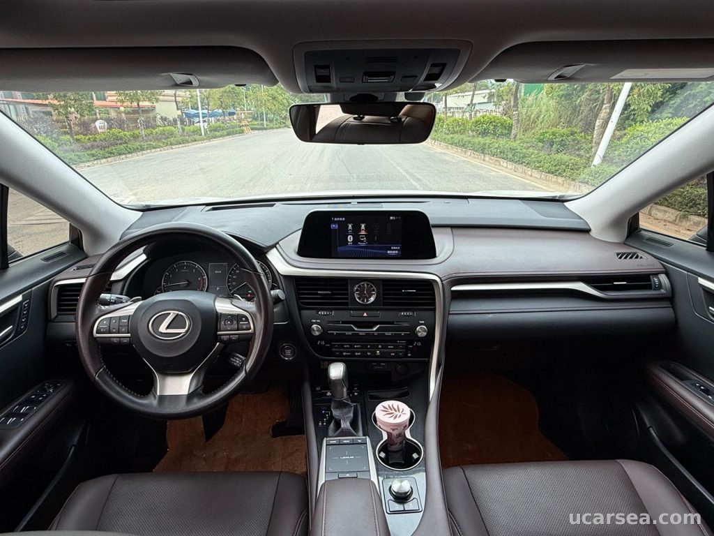 Lexus RX 2020 RX300 photo 8