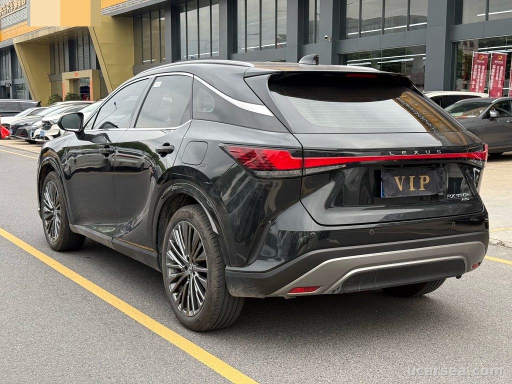 Lexus RX 2023 RX350 photo 7
