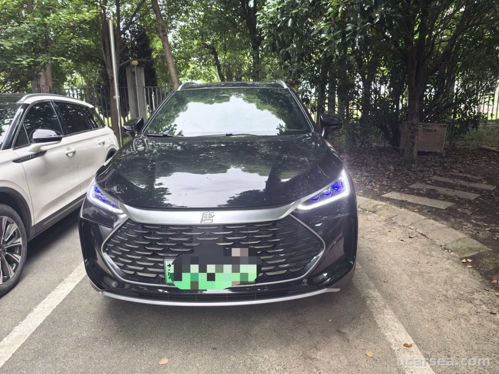 BYD Tang DM-i 2024 1.5T 200KM photo 2
