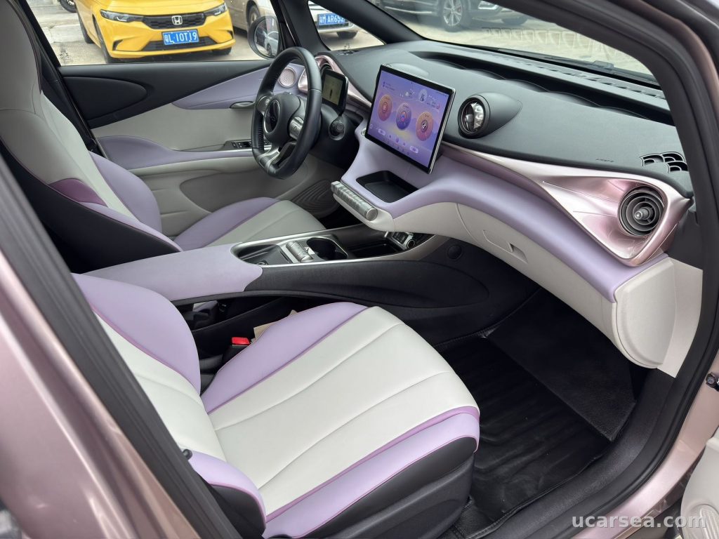 BYD Dolphin 2021 405km photo 2