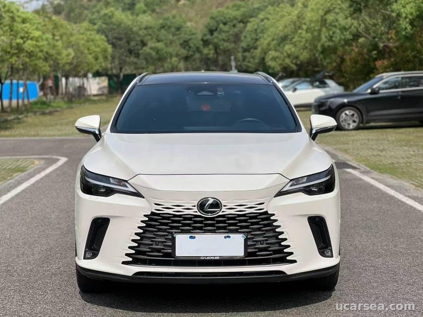 Lexus RX 2023 RX350h photo 4