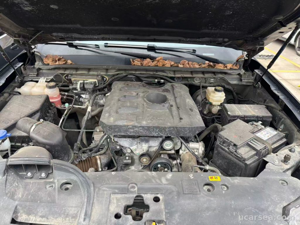 Ford (Ranger) 2023 photo 8
