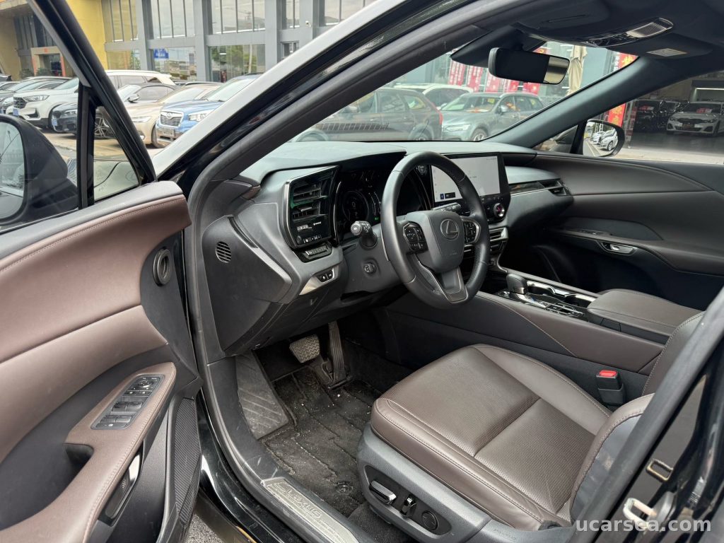 Lexus RX 2023 RX350 photo 9