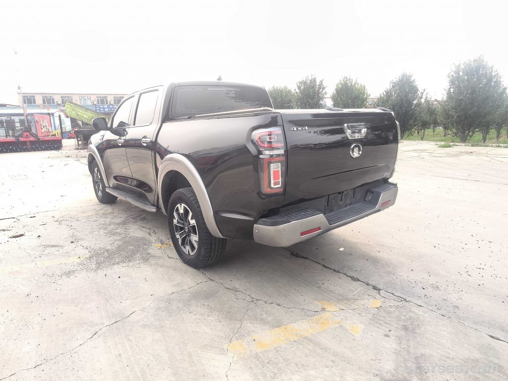 Great Wall 2019 photo 7