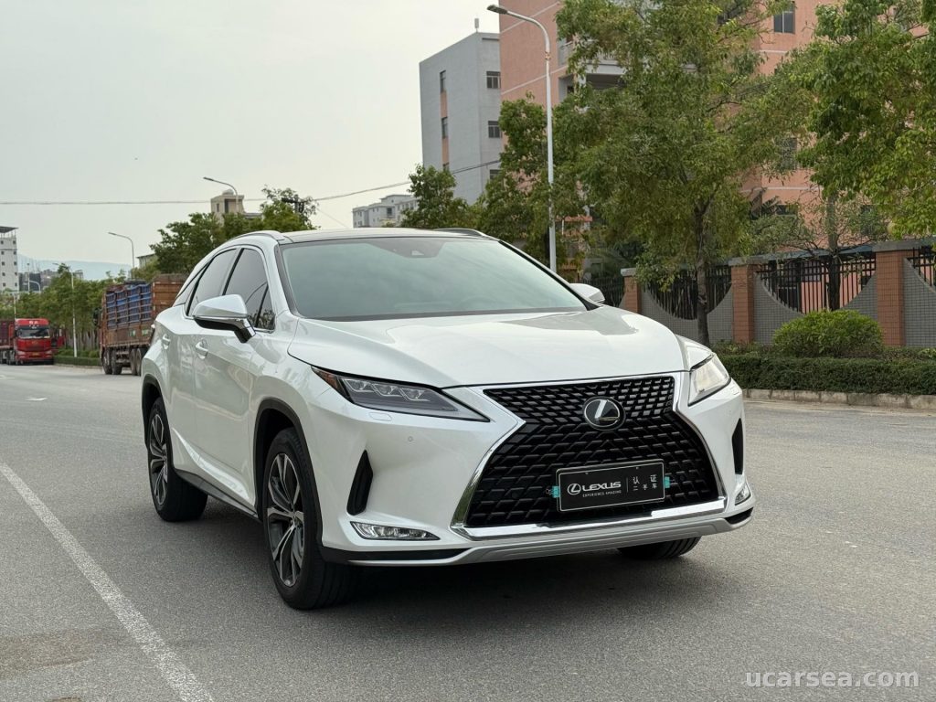 Lexus RX 2020 RX300 photo 1