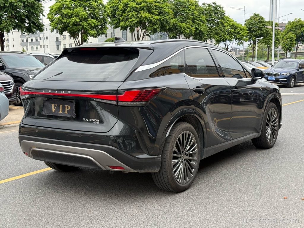 Lexus RX 2023 RX350 photo 5