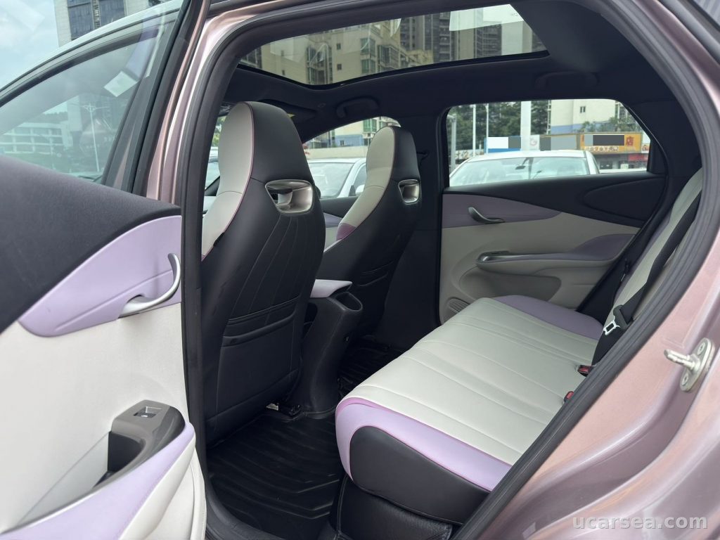 BYD Dolphin 2021 405km photo 4
