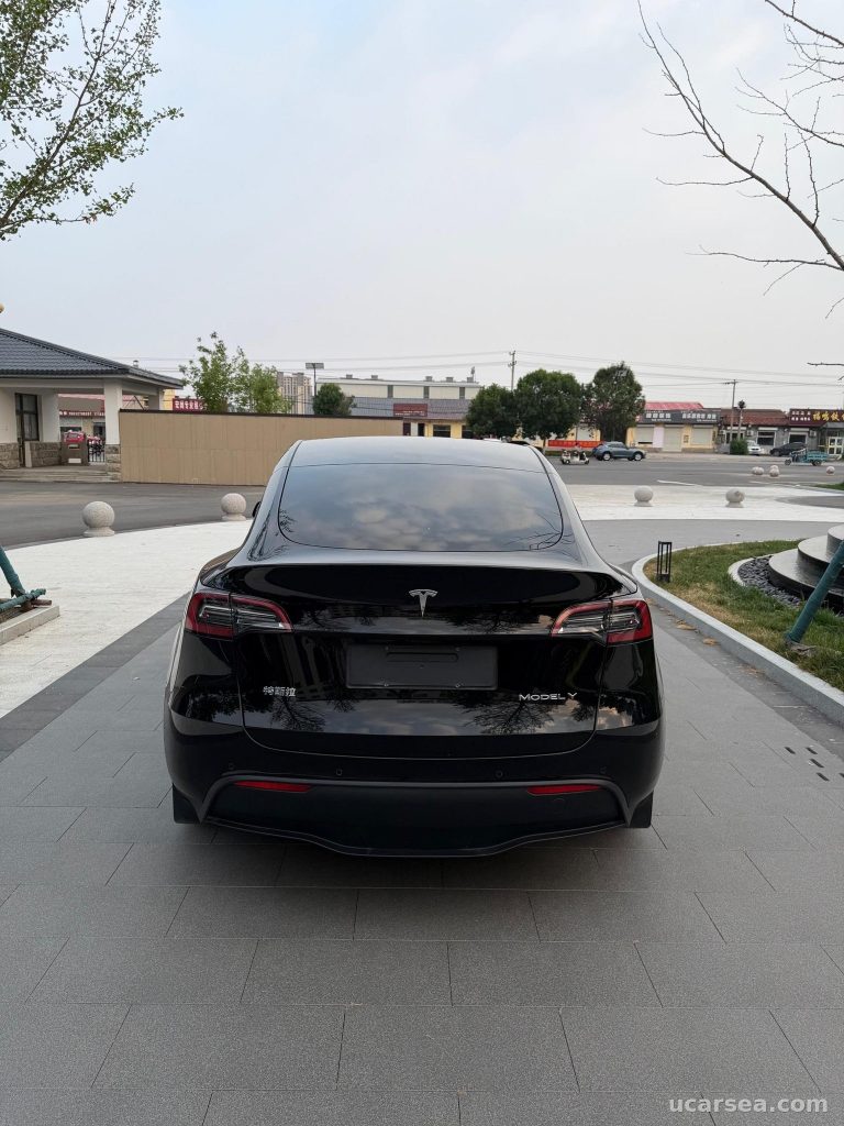 Tesla Model Y 2022 photo 6