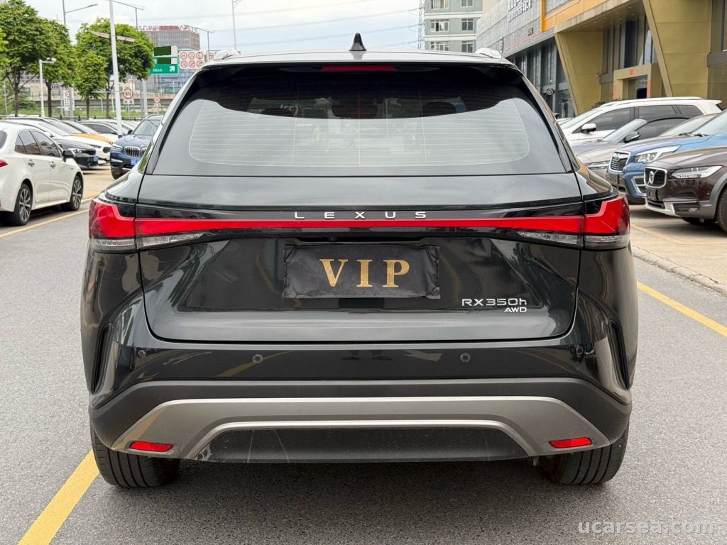 Lexus RX 2023 RX350 photo 6