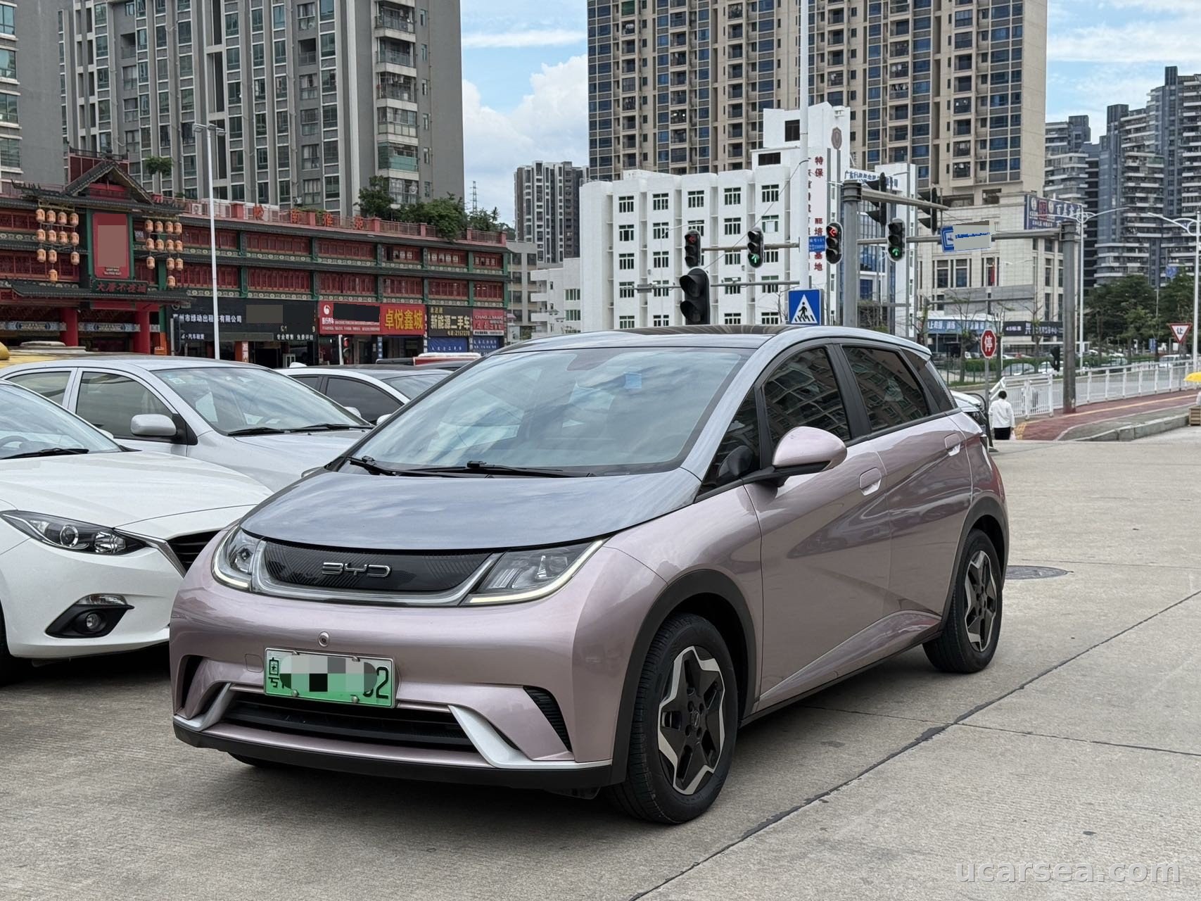 2021 BYD Dolphin 2021 405km