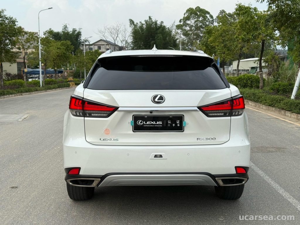 Lexus RX 2020 RX300 photo 6