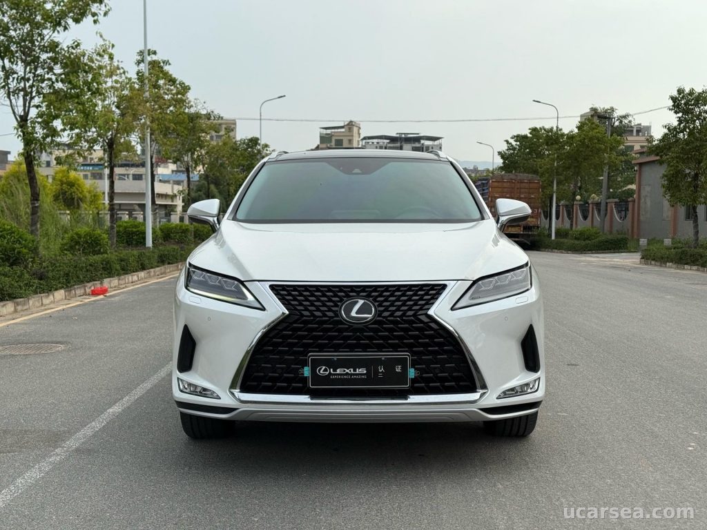 Lexus RX 2020 RX300 photo 2
