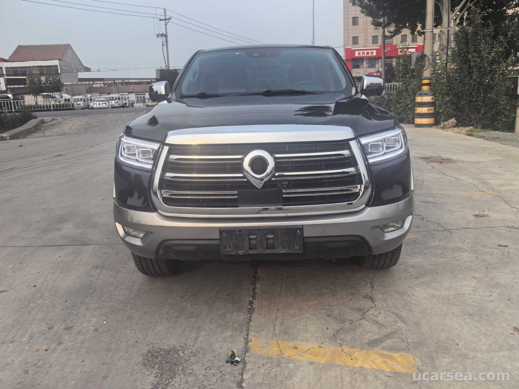 Great Wall 2019 photo 1