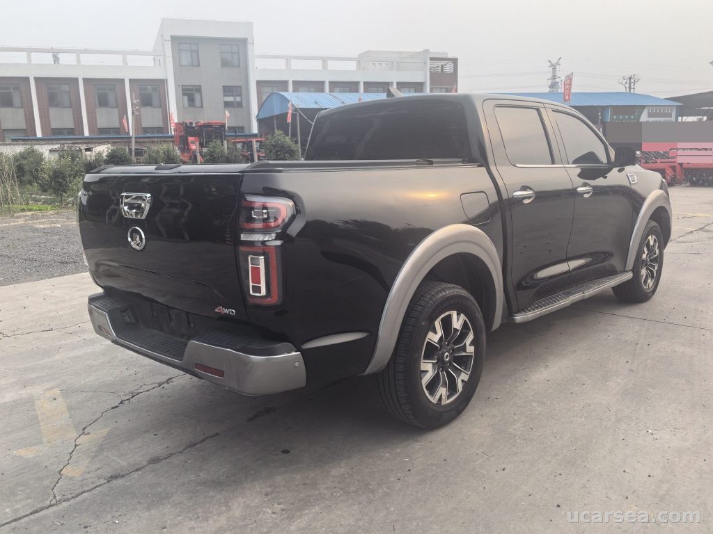 Great Wall 2019 photo 2