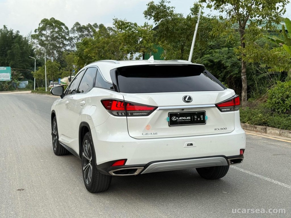Lexus RX 2020 RX300 photo 5