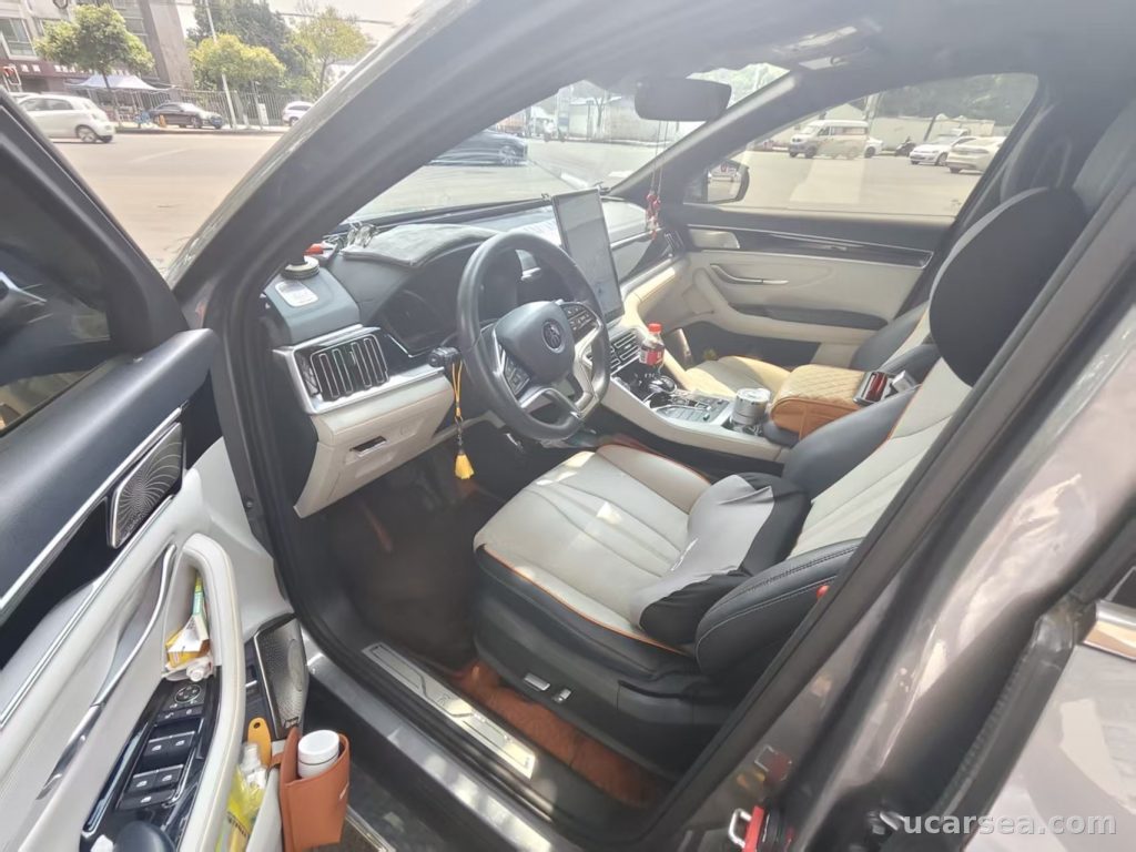 BYD Song Plus 2021 DM-i 1.5 110KM PLUS photo 1
