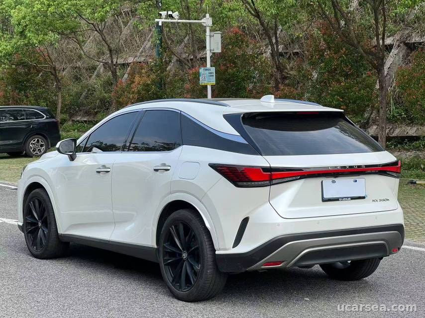 Lexus RX 2023 RX350h photo 1