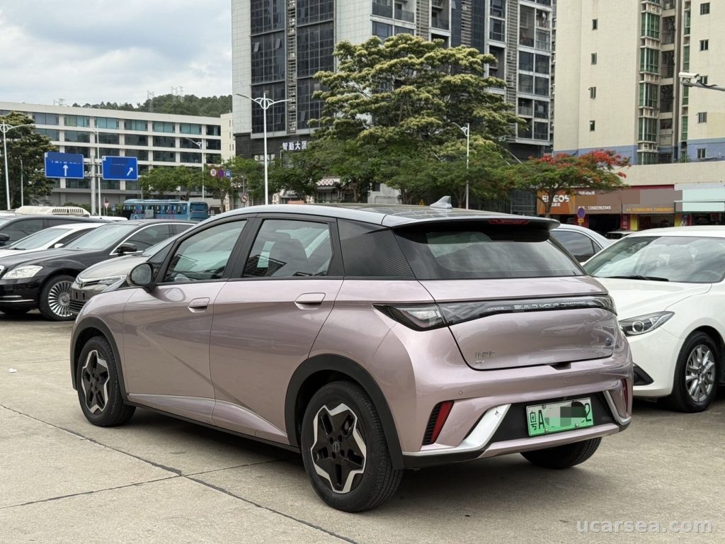 BYD Dolphin 2021 405km photo 3