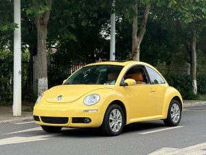 2010 Volkswagen Beetle