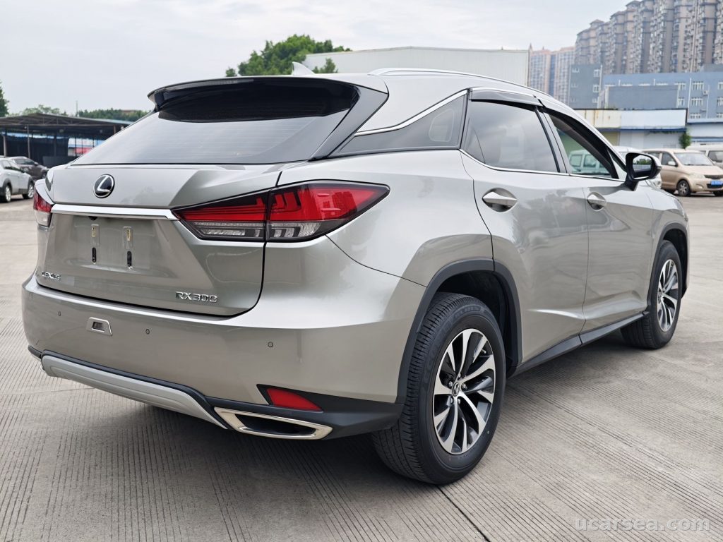 Lexus RX 2020 RX300 photo 7