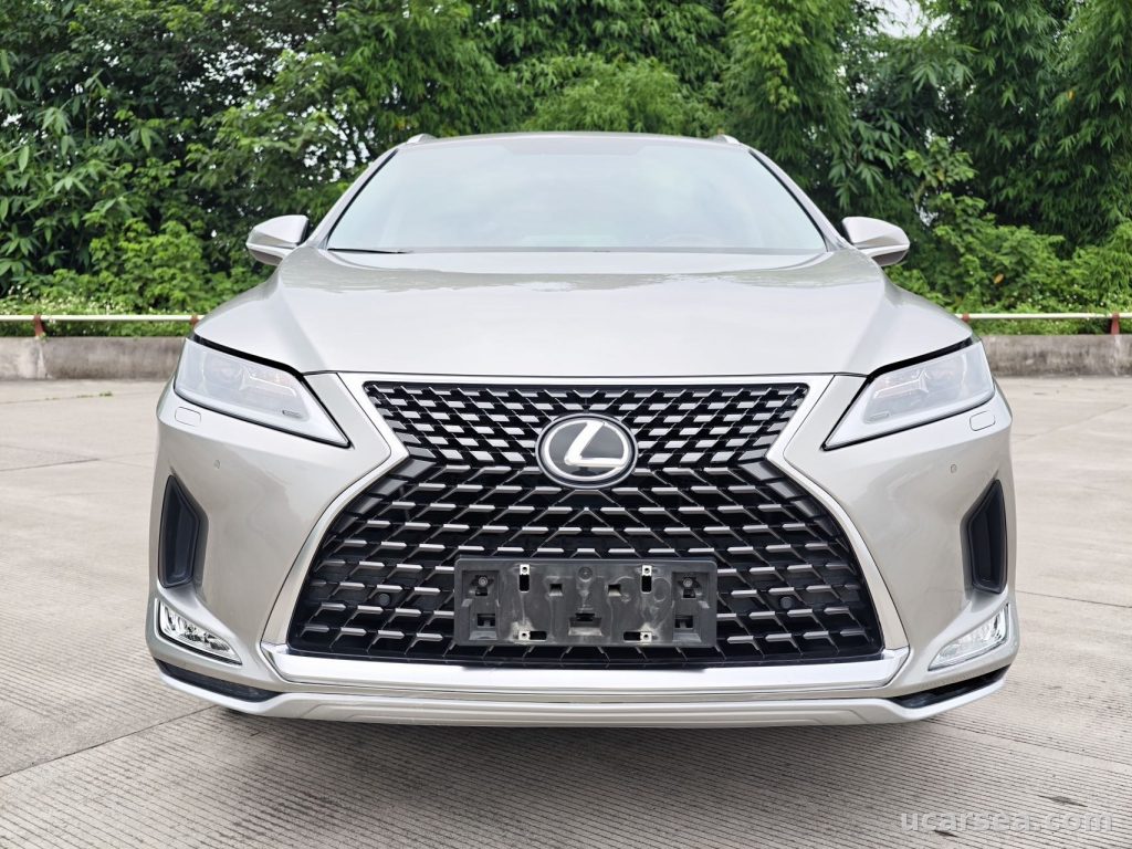 Lexus RX 2020 RX300 photo 2