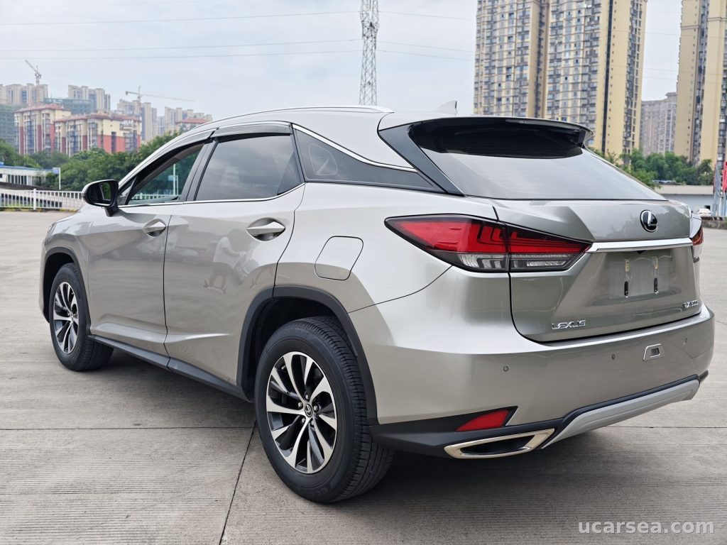 Lexus RX 2020 RX300 photo 5