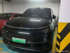 2024 Li Auto L9