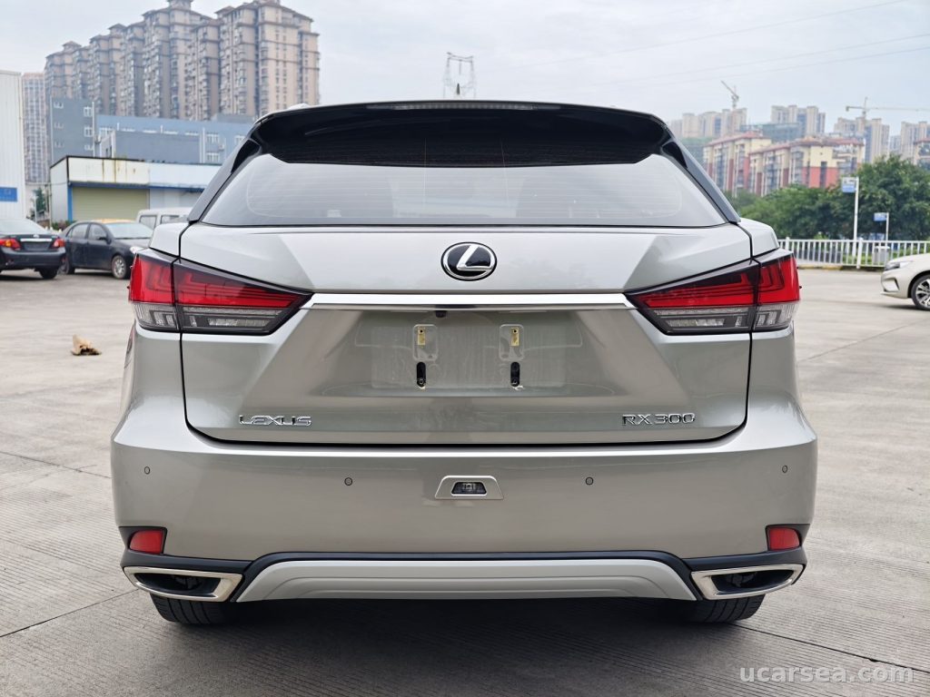 Lexus RX 2020 RX300 photo 6