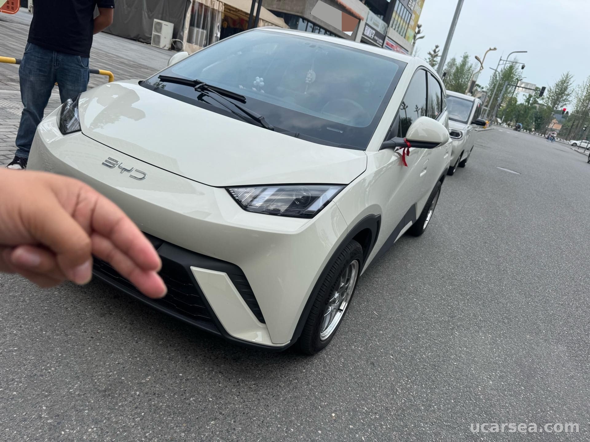 2024 BYD Seagull 2024 305km