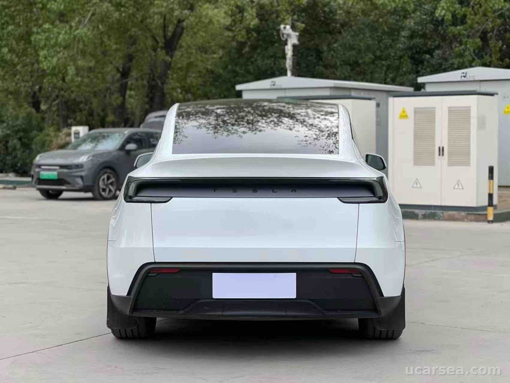 Tesla Model Y 2025 photo 6