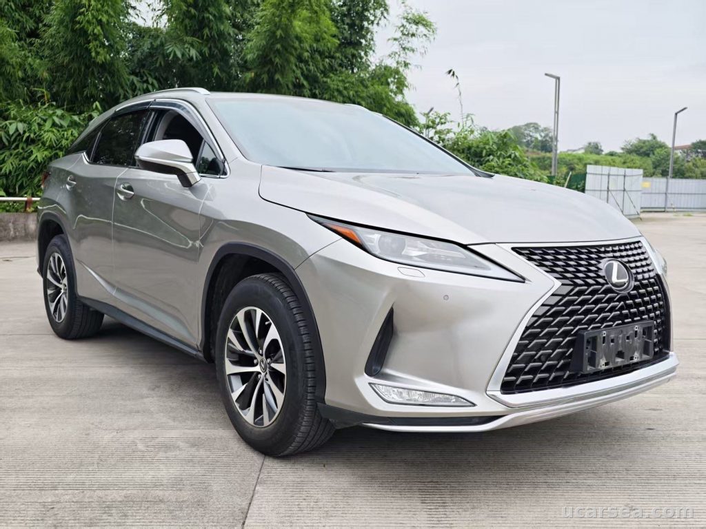 Lexus RX 2020 RX300 photo 1