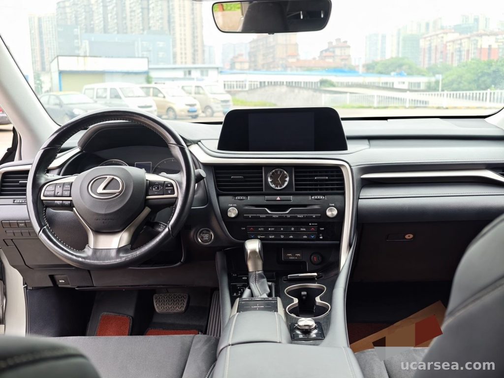 Lexus RX 2020 RX300 photo 8