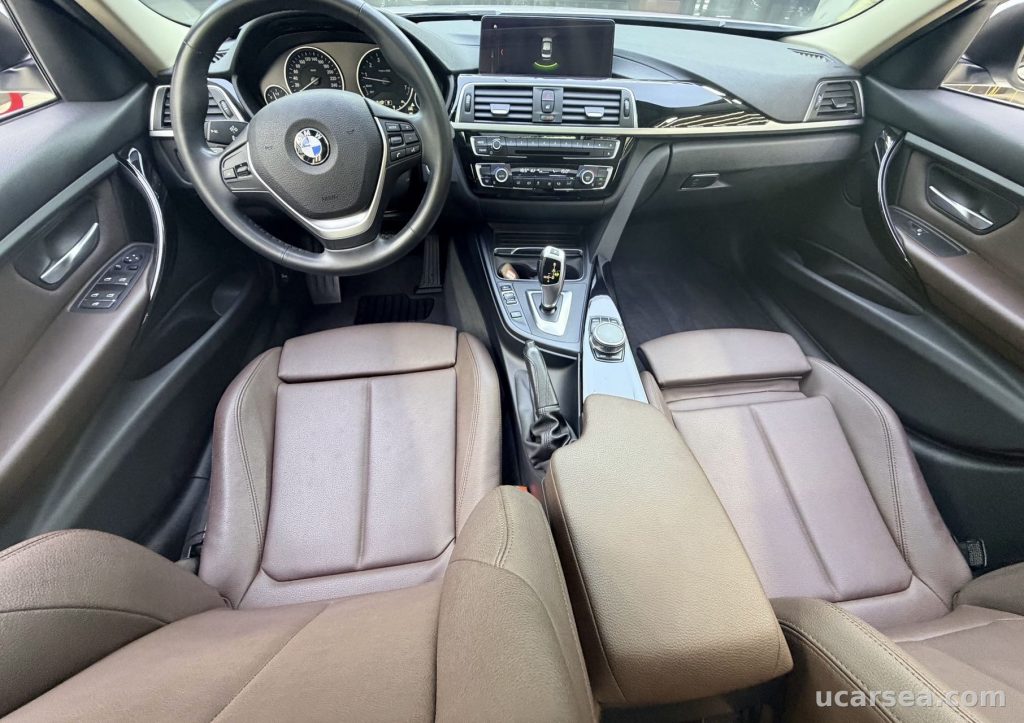 BMW 3 Series 2019 320Li photo 1