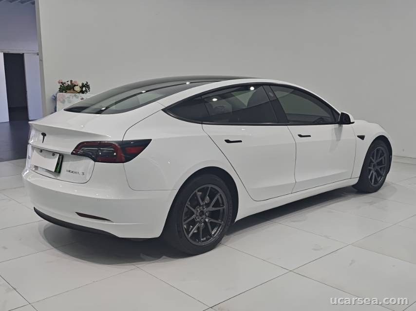 Tesla Model 3 2021 photo 8