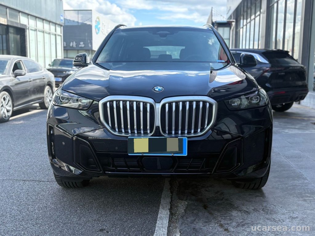 BMW X5 2025 xDrive30Li 48V M photo 1