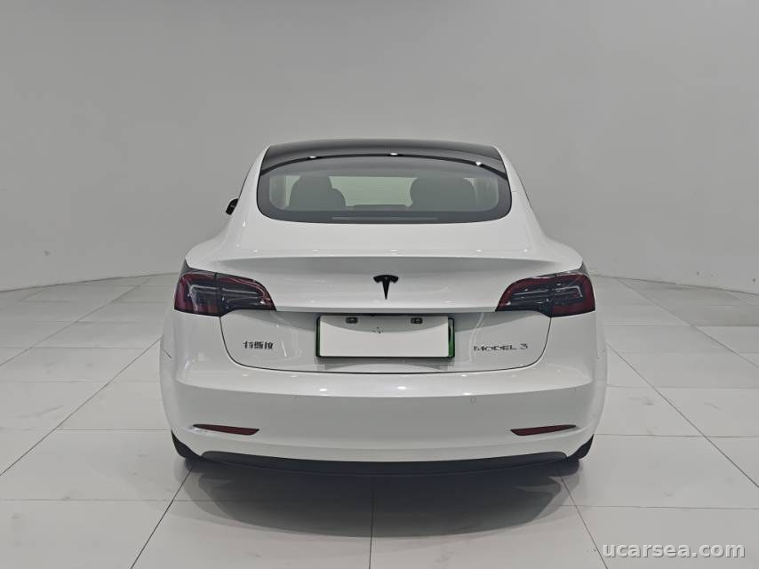 Tesla Model 3 2021 photo 4