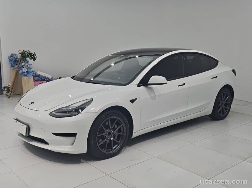 2021 Tesla Model 3 2021