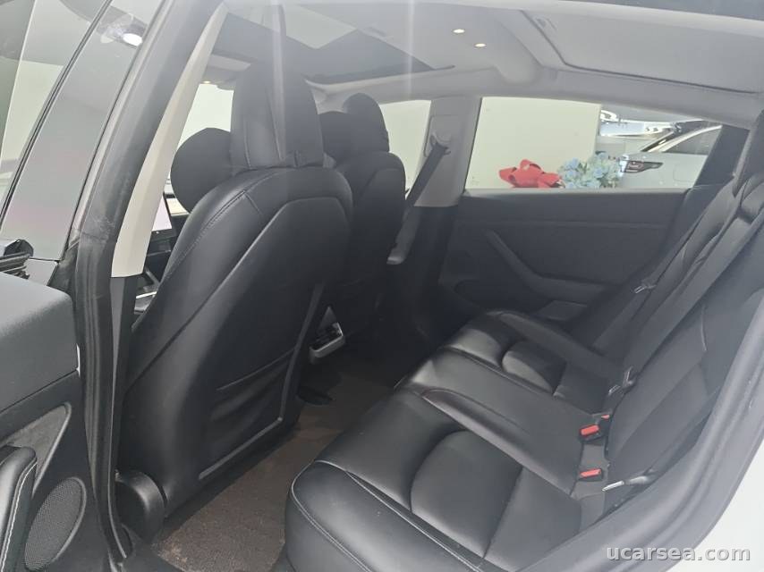 Tesla Model 3 2021 photo 6