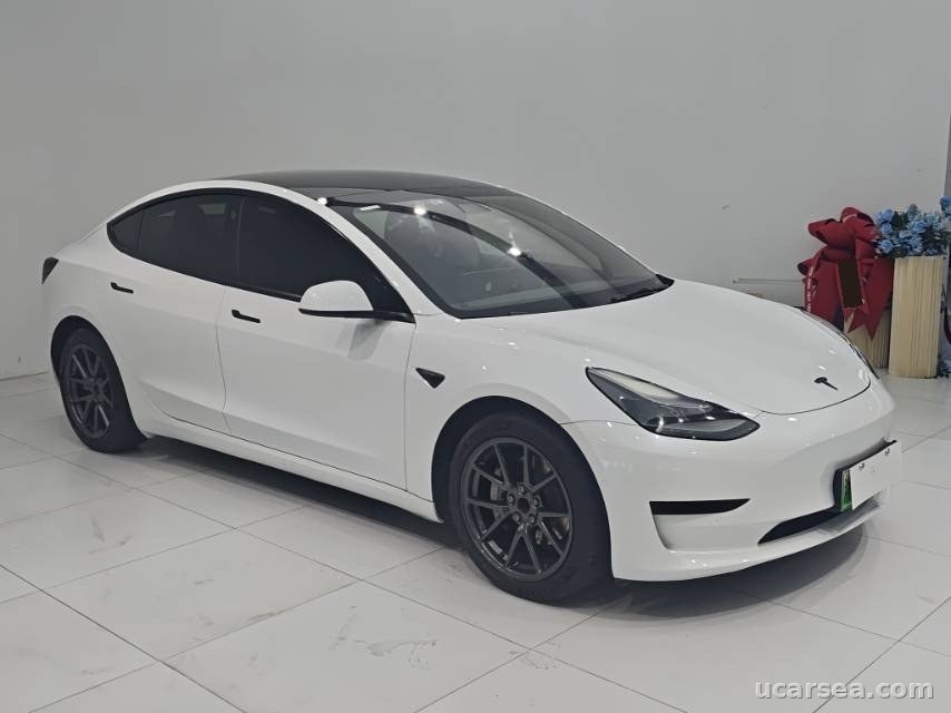 Tesla Model 3 2021 photo 2
