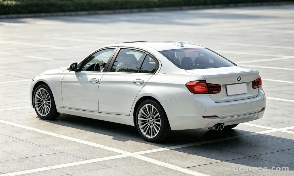BMW 3 Series 2019 320Li photo 4