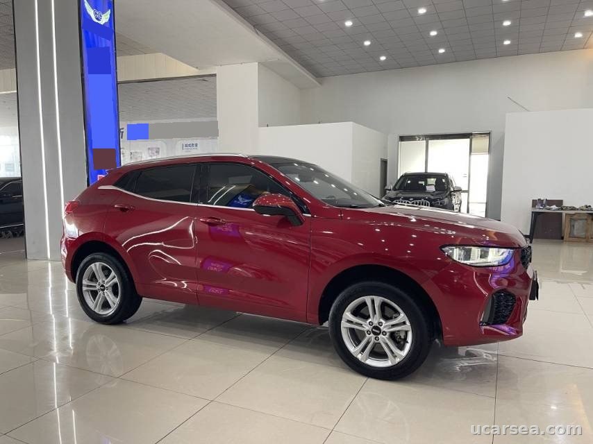WEY VV5 2019 photo 8