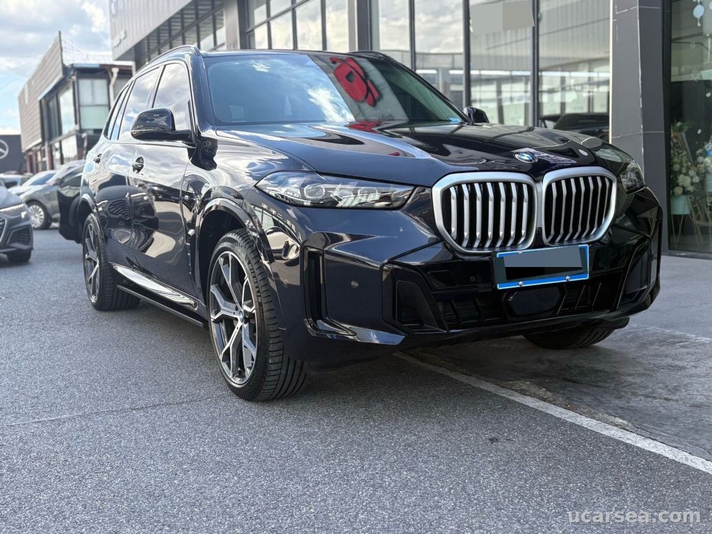 BMW X5 2025 xDrive30Li 48V M photo 2