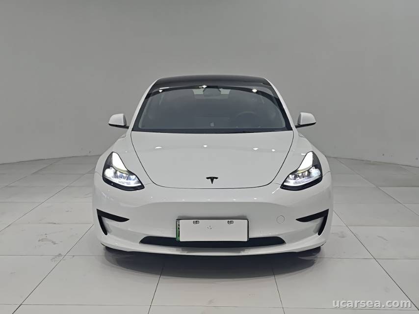 Tesla Model 3 2021 photo 1