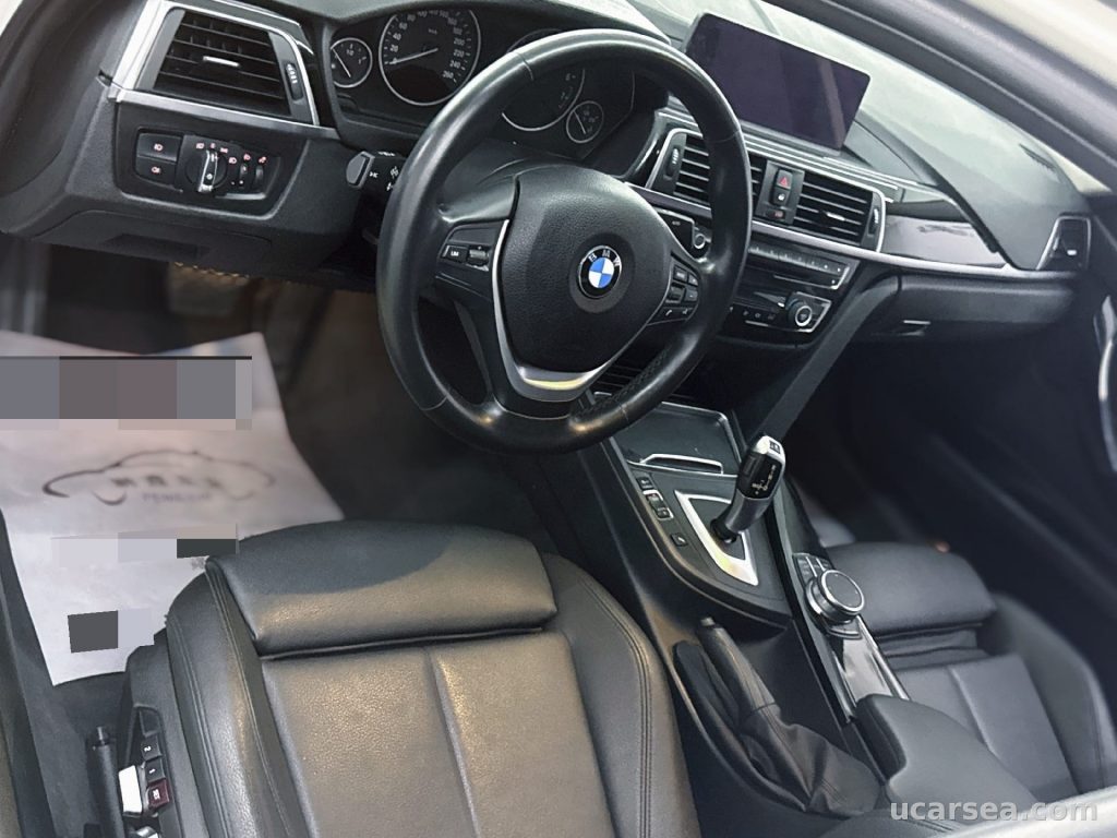 BMW 3 Series 2019 320Li photo 1